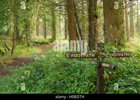 Il sentiero e bridleway cartello in una foresta gallese. Foto Stock