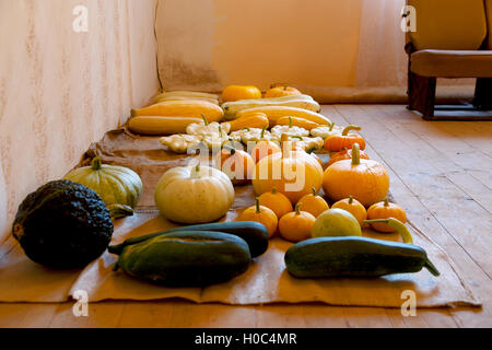 Un abbondante raccolto autunnale di molti tipi di zucca e colori. Foto Stock