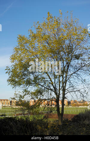 Viste dal greenway stratford upon avon Foto Stock