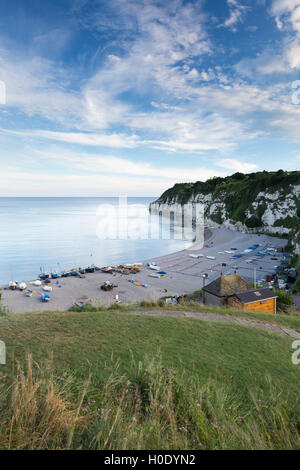 Birra, Devon, Inghilterra, Regno Unito Foto Stock