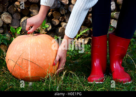 In autunno la zucca pioggia rossa e scarpe di legno con sfondo leavs. Foto Stock