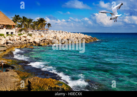 La costa del mare nel parco vicino a Cozumel, Messico Foto Stock