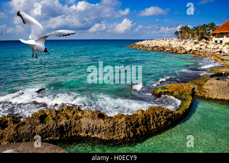 La costa del mare nel parco vicino a Cozumel, Messico Foto Stock