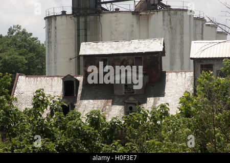 Il Piedmont Flour Mill e gli edifici di Silo abbandonati su Jefferson Street a Lynchburg, Virginia, USA Foto Stock