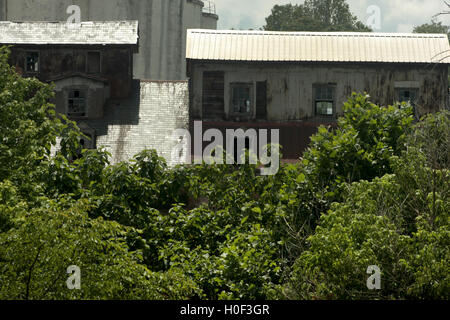 Il Piedmont Flour Mill e gli edifici di Silo abbandonati su Jefferson Street a Lynchburg, Virginia, USA Foto Stock