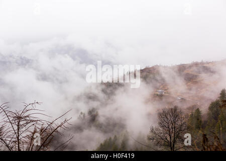 Farmland in Haa Valley, Western Bhutan, nella nebbia Foto Stock