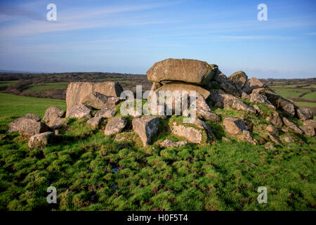 Massi di granito in campo in Bodmin Moor Foto Stock