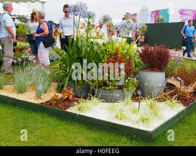 I visitatori del 2016 Tatton Park flower show ammirando uno dei reperti. Foto Stock