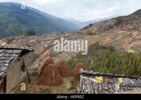 Case coloniche e terreni agricoli nella valle degli HAA, Bhutan, inverno Foto Stock