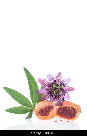 Fiori e frutti di passiflora tagliare Herba Passiflora Foto Stock
