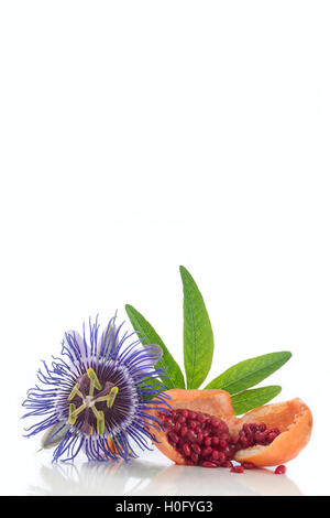 Fiori e frutti di passiflora tagliare Herba Passiflora Foto Stock