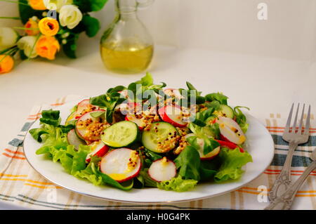 Insalata primaverile con olio di senape, cetriolo, lattuga, ravanello e erbe su piastra bianca Foto Stock