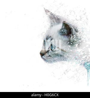 La pittura digitale di bianco gattino ritratto Foto Stock