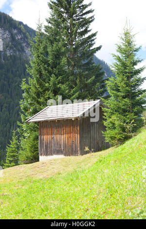 Cabina in legno con la verde montagna in Tirolo, Austria Foto Stock