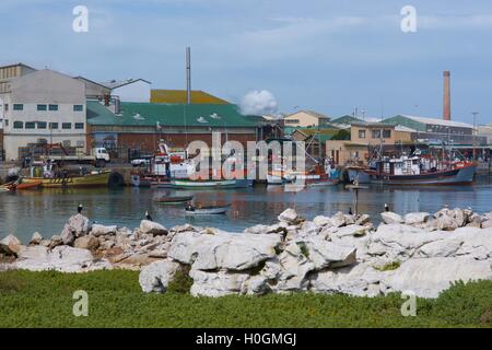 Abbandonate le barche da pesca Foto Stock