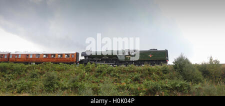 Il Flying Scotsman tirando un treno in Severn Valley Railway, WORCESTERSHIRE REGNO UNITO Foto Stock