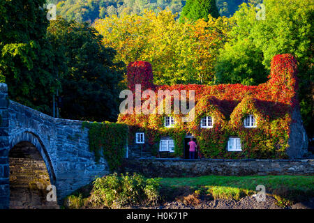 Llanrwst, conwy, Wales, Regno Unito 22 settembre 2016. Il sunrise bagna tu hwnt i'r bont sala da tè o hwnt i'r bont sala da tè nel giorno dell'equinozio d'autunno. l'ora o la data (due volte l'anno) in cui il sole attraversa l' equatore celeste, quando giorno e notte sono di uguale lunghezza. personale aperta fino al giorno successivo. Foto Stock