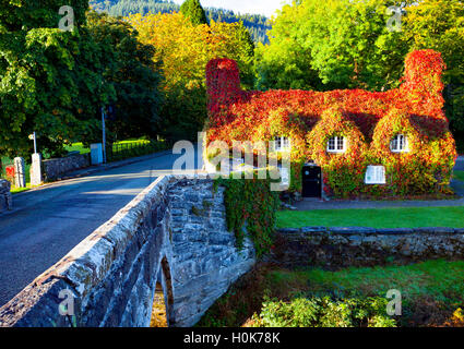 Llanrwst, Conwy, Wales, Regno Unito Il sunrise bagna Tu Hwnt I'r Bont sala da tè nel giorno dell'equinozio d'autunno. Foto Stock