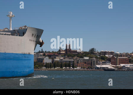 Capesize Bulk Carrier China Steel innovatore passando di fronte la Cattedrale di Christ Church Newcastle NSW Australia Foto Stock