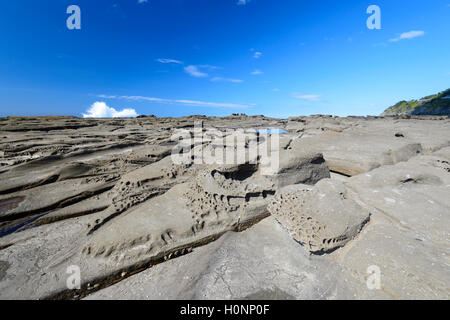 Dettagli della roccia erosa formazioni, Coalcliff, Nuovo Galles del Sud, NSW, Australia Foto Stock