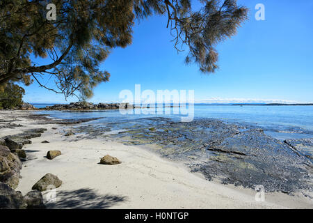 Vista della spiaggia Bindijine, Jervis Bay, Beecroft gamma di armi, Nuovo Galles del Sud, NSW, Australia Foto Stock