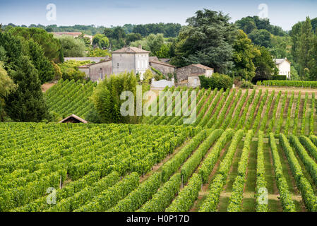 Il trattore al lavoro durante il raccolto in vigna a St Emilion, Bordeaux Regione del Vino della Francia Foto Stock