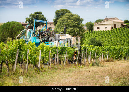 Il trattore al lavoro durante il raccolto in vigna a St Emilion, Bordeaux Regione del Vino della Francia Foto Stock