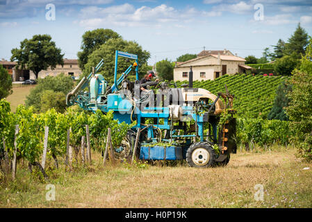 Il trattore al lavoro durante il raccolto in vigna a St Emilion, Bordeaux Regione del Vino della Francia Foto Stock