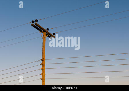 Linea di alimentazione su pali di legno al tramonto Foto Stock