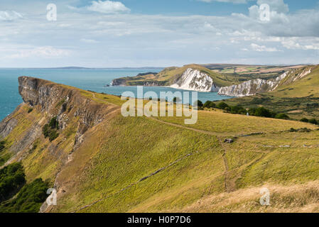 Gad Cliff e oro in basso in primo piano con chalk costa del Dorset correndo Worbarrow Bay in distanza Foto Stock