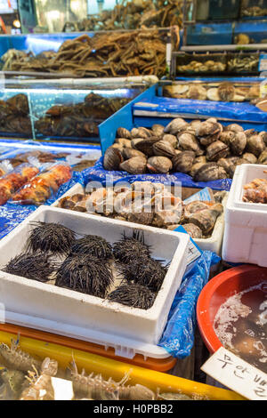 Molti tipi di piatti a base di frutti di mare beind venduto alla pesca Noryangjin mercato all'ingrosso (o Noryangjin Mercato del pesce) a Seul, in Corea del Sud. Foto Stock