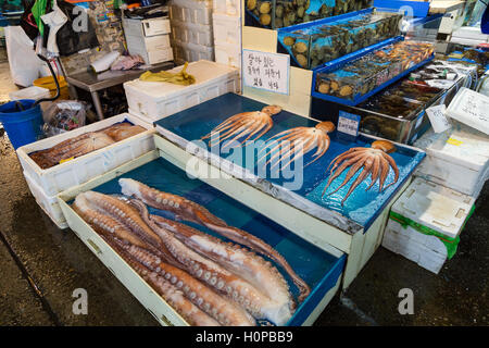 Il polpo fresco per la vendita presso il Noryangjin Pesca Mercato all'ingrosso (o Noryangjin Mercato del pesce) a Seul, in Corea del Sud. Foto Stock