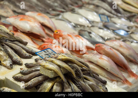 Diversi tipi di pesce vengano venduti al Noryangjin Pesca Mercato all'ingrosso (o Noryangjin Mercato del pesce) a Seul, Corea del Sud Foto Stock