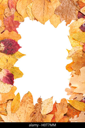 Immagine verticale il telaio dal giallo Foglie di autunno con ritagliato uno spazio vuoto Foto Stock