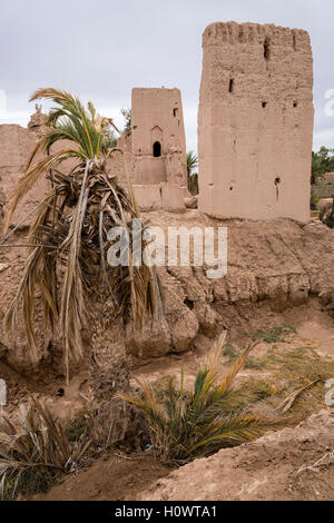 Skoura, Marocco. Un Kasbah abbandonate lentamente cadendo in rovina. Anni di siccità nella regione le loro pedaggio sulla vegetazione. Foto Stock