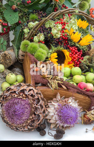 Cesto in legno pieno di raccolti di frutta, fiori e frutti di bosco a Harrogate autunno flower show. Harrogate, North Yorkshire, Inghilterra Foto Stock