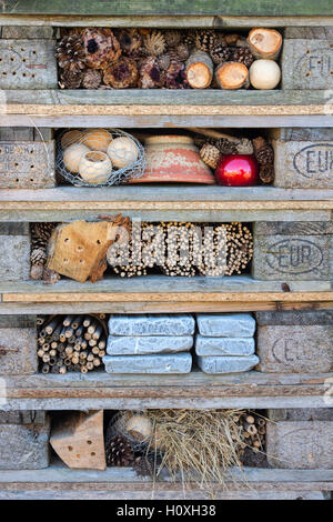 Casa di insetti realizzata utilizzando vecchi pallet in legno per incoraggiare gli insetti (FAUNA) nel giardino. Regno Unito Foto Stock