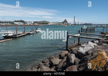 New Plymouth area portuale, Taranaki, Isola del nord, Nuova Zelanda. Foto Stock