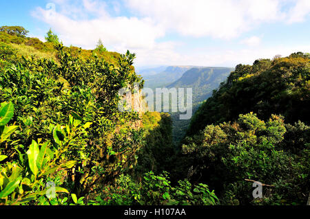 Finestra di Dio - così chiamato per la vista panoramica di Il Lowveld (E in lontananza il Parco Nazionale Kruger e il Mozambico) Sudafrica Foto Stock