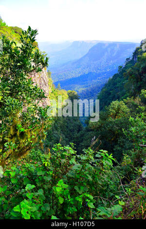 Finestra di Dio - così chiamato per la vista panoramica di Il Lowveld (E in lontananza il Parco Nazionale Kruger e il Mozambico) Sudafrica Foto Stock