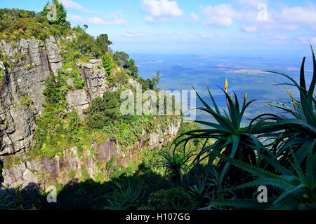 Finestra di Dio - così chiamato per la vista panoramica di Il Lowveld (E in lontananza il Parco Nazionale Kruger e il Mozambico) Sudafrica Foto Stock