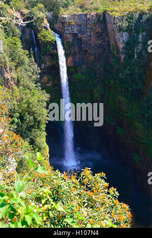 Il Mac Mac Mac Falls è una cascata e un monumento nazionale sul Mac Mac River a Mpumalanga, sulla splendida strada panoramica, in Sud Africa