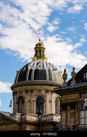 Parigi, Francia. Vista da una barca sul fiume Senna. La cupola dell'Institut de France. Foto Stock