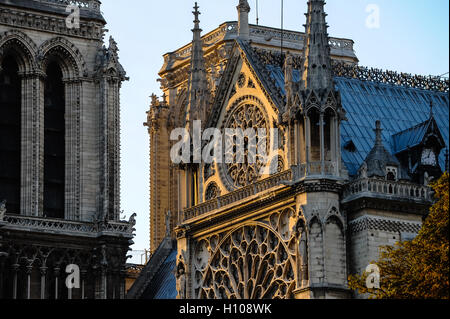 Parigi, Francia. La cattedrale di Notre Dame al tramonto, una delle più grandi chiese in tutto il mondo. Foto Stock