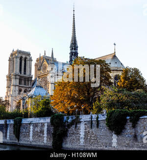 Parigi, Francia. La cattedrale di Notre Dame al tramonto, una delle più grandi chiese in tutto il mondo. Stirched panorama. Foto Stock