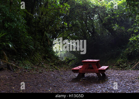 Rosso banco picnic nel mezzo della foresta di Monteverde in Costa Rica Foto Stock