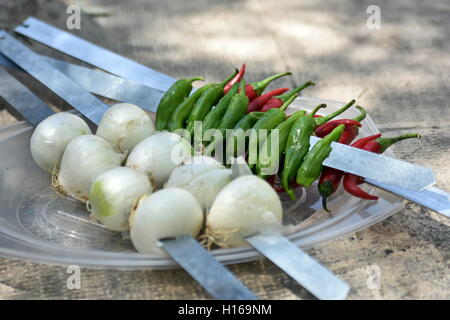 Iraniano Barbecue di pollo con cipolla e freddo nel parco Foto Stock