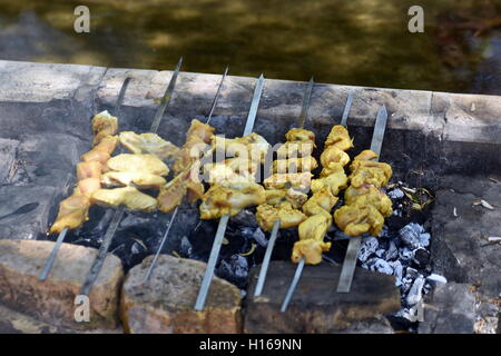 Iraniano Barbecue di pollo con cipolla e freddo nel parco Foto Stock