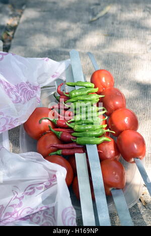 Iraniano Barbecue di pollo con cipolla e freddo nel parco Foto Stock