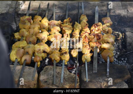 Iraniano Barbecue di pollo con cipolla e freddo nel parco Foto Stock